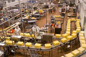 High angle look onto the factory floor of a cheese processing center.  People and cheese show motion blur.  Image is grainy due to low light requirement in the facility.Click below for my other food factory images:
