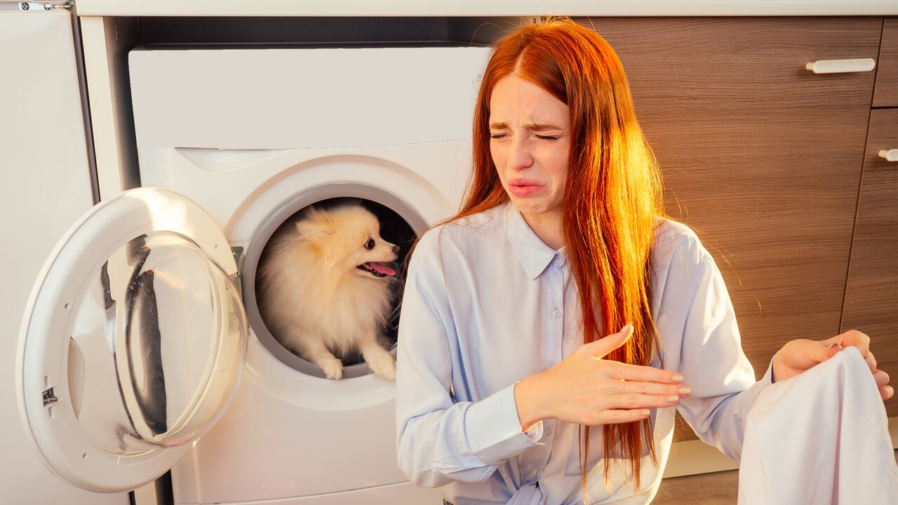 Una de las mayores preocupaciones a la hora de tener un perro se da por los malos olores que pueden desprender.