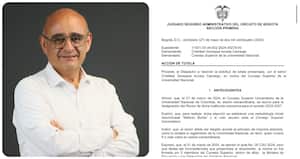 El rector de la Universidad Nacional, José Ismael Peña, ganó otra tutela que garantiza su permanencia en la institución.