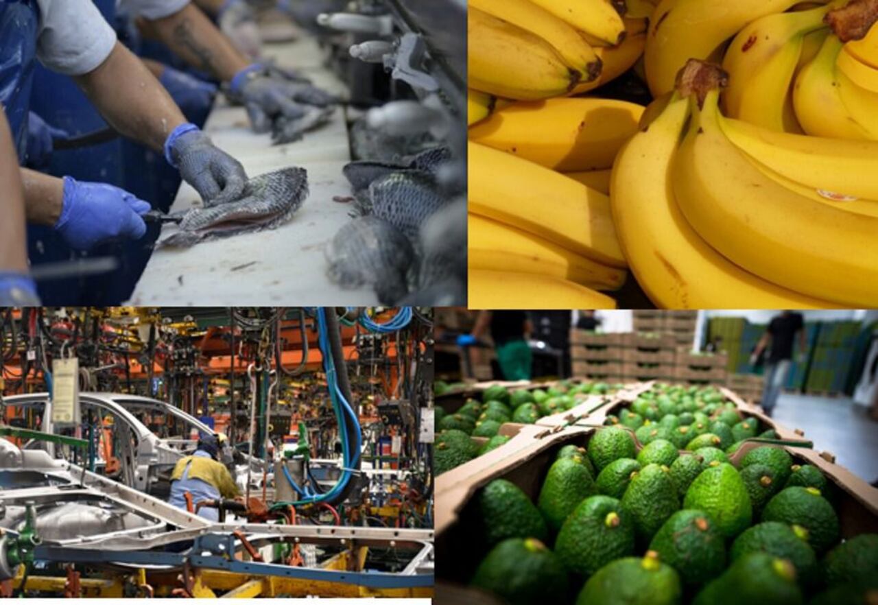 Varios productos como filetes de tilapia, banano, vehículos para personas y para carga y aguacate hass, entre otros, ayudaron a impulsar exportaciones no mineras.