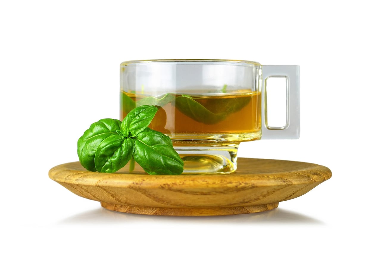 Té de albahaca