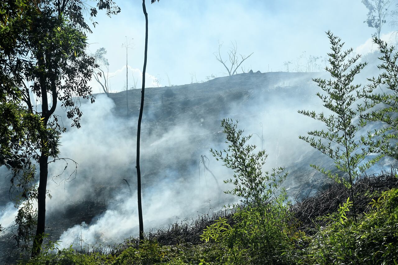 de 20Incendio forestal en la buitrera , Sep 21 23, en Cali Valle