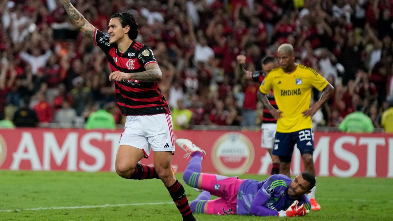 Flamengo vs Millonarios - fecha 6 grupo E - Copa Libertadores.