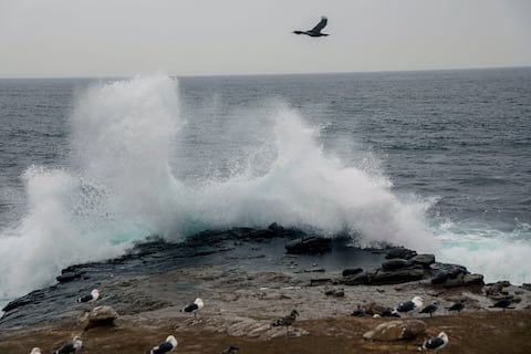 LA JOLLA CA - 09 DE SEPTIEMBRE: Una ola se estrella sobre un acantilado junto a la playa mientras la lluvia y el viento azotan la costa debido al huracán Kay el 9 de septiembre de 2022 en La Jolla, California. La tormenta tropical, que produjo vientos de hasta 109 MPH en la parte este del condado de San Diego, derribó varios árboles y líneas eléctricas y provocó inundaciones. Sandy Huffaker/Getty Images/AFP (Foto de Sandy Huffaker/GETTY IMAGES NORTH AMERICA/Getty Images vía AFP)