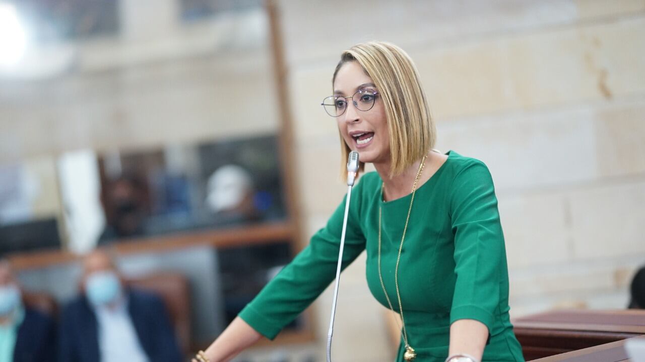 La presidenta de la Cámara, Jennifer Arias, se defendió de los señalamientos en su contra por un presunto plagio.