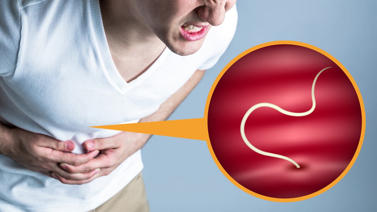 Los parásitos intestinales pueden ser muy riesgosos para las personas con sistemas inmunes debilitados.