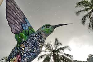 Cali: Escultura del Colibrí, como símbolo a la biodiversidad de nuestra región, un  nuevo atractivo  para visitar la Biblioteca departamental. foto José L Guzmán. EL País