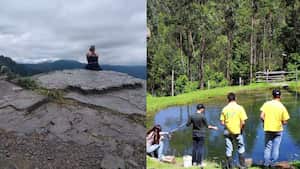 Parques ecológicos en Bogotá