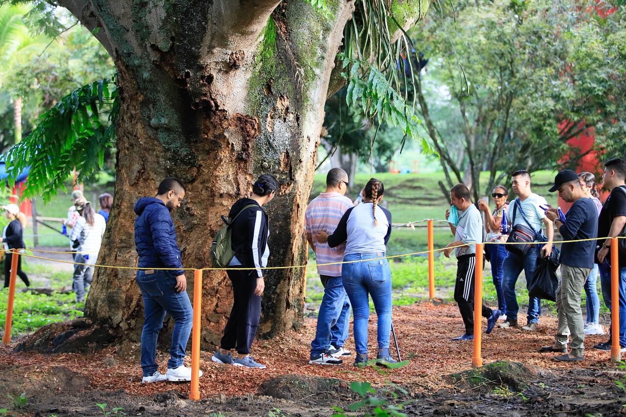 Turistas describen la experiencia como cálida, alegre y con una diversidad de sonidos.