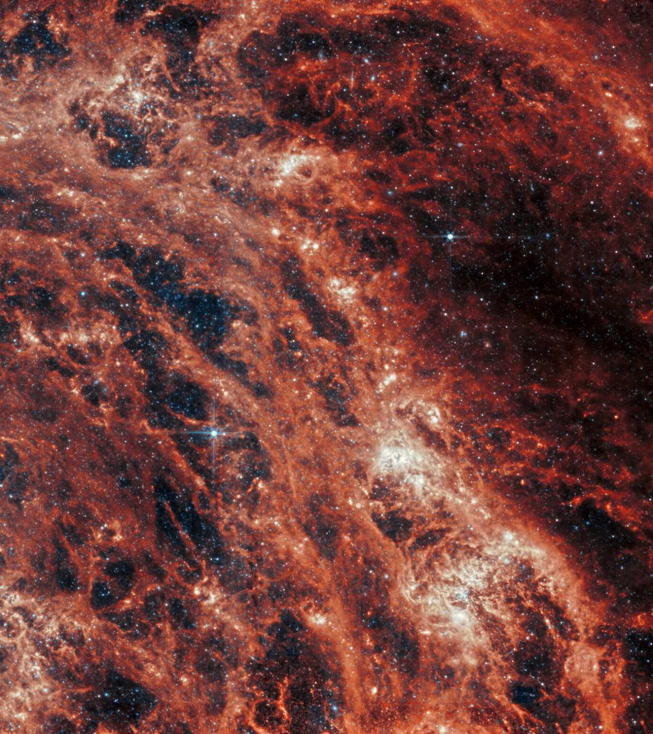 Las fotos de la Galaxia del Remolino tomadas por el James Webb han sido las imágenes que cuentan con más resolución de este objeto astronómico.