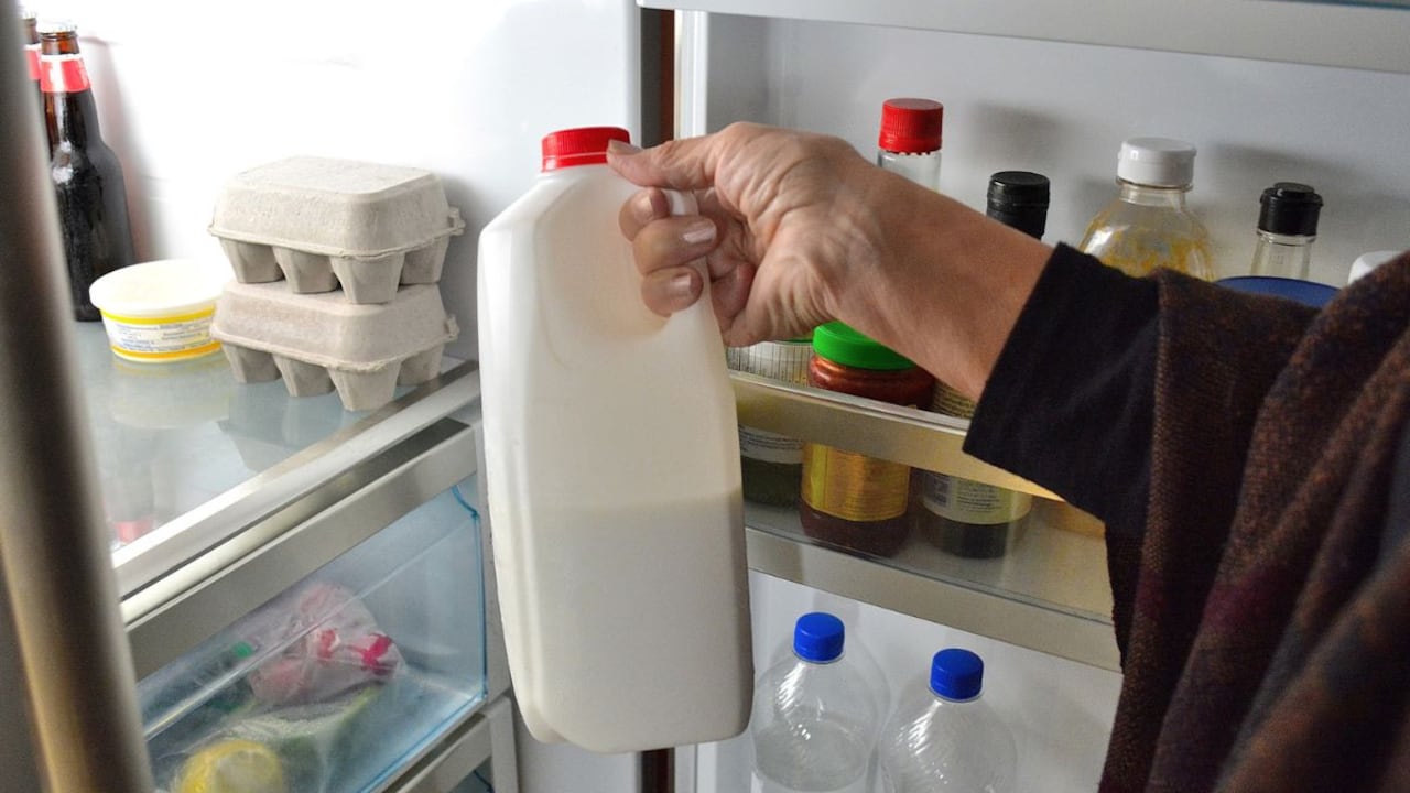 Tiempo que puede pasar la leche sin refrigerar.