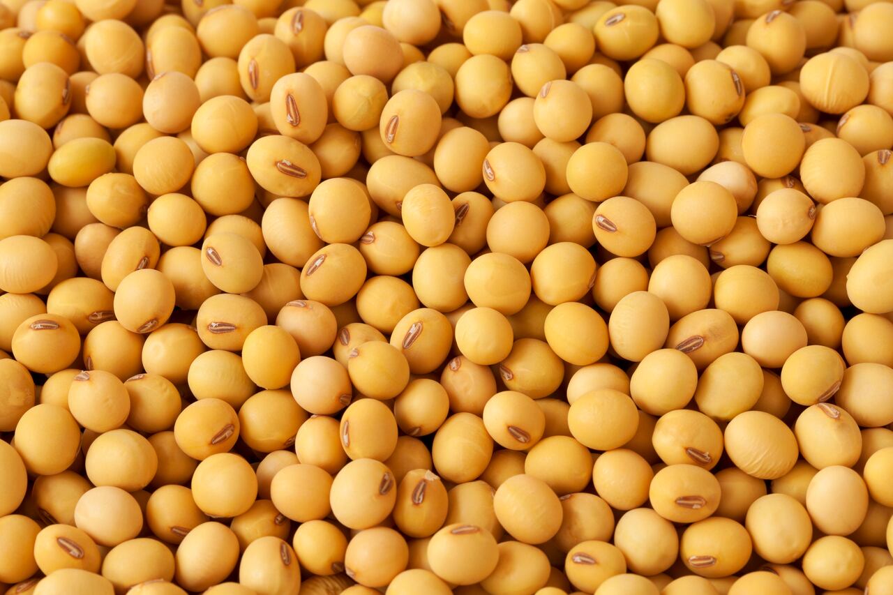 Close-up of soybean