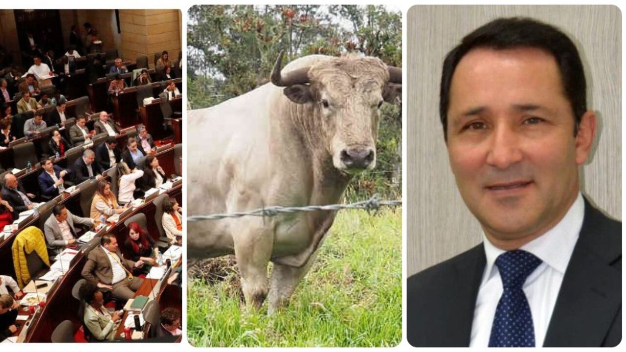César Rincón, indignado porque el Congreso prohibió las corridas de toros en Colombia.