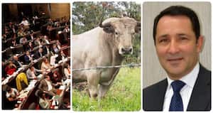 César Rincón, indignado porque el Congreso prohibió las corridas de toros en Colombia.