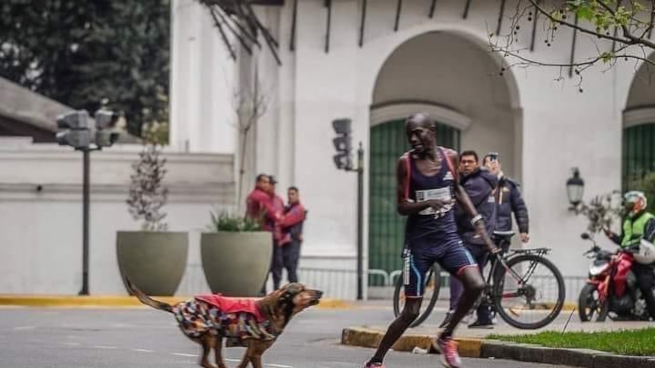 Atleta keniano fue atacado por un perro mientras competía en la maratón de Buenos Aires.