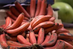 Plátanos rojos en un mercado