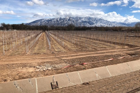 Un canal de riego vacío se alinea en una granja de árboles en Corrales, Nuevo México, mientras la nieve cubre las montañas Sandia al fondo. Las tormentas de lluvia se volvieron más erráticas y las sequías mucho más prolongadas en la mayor parte del oeste de EE. UU. (Foto AP / Susan Montoya Bryan, archivo)