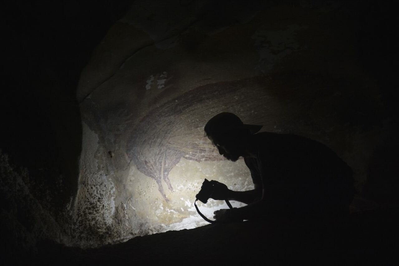 La pintura rupestre más antigua del mundo fue encontrada en Indonesia. Les dio información a los arqueólogos sobre el primer asentamiento en la región. La figura del jabalí tiene por lo menos 45,500 años. Foto: Adhi Agus Oktaviana / Griffith University / AFP