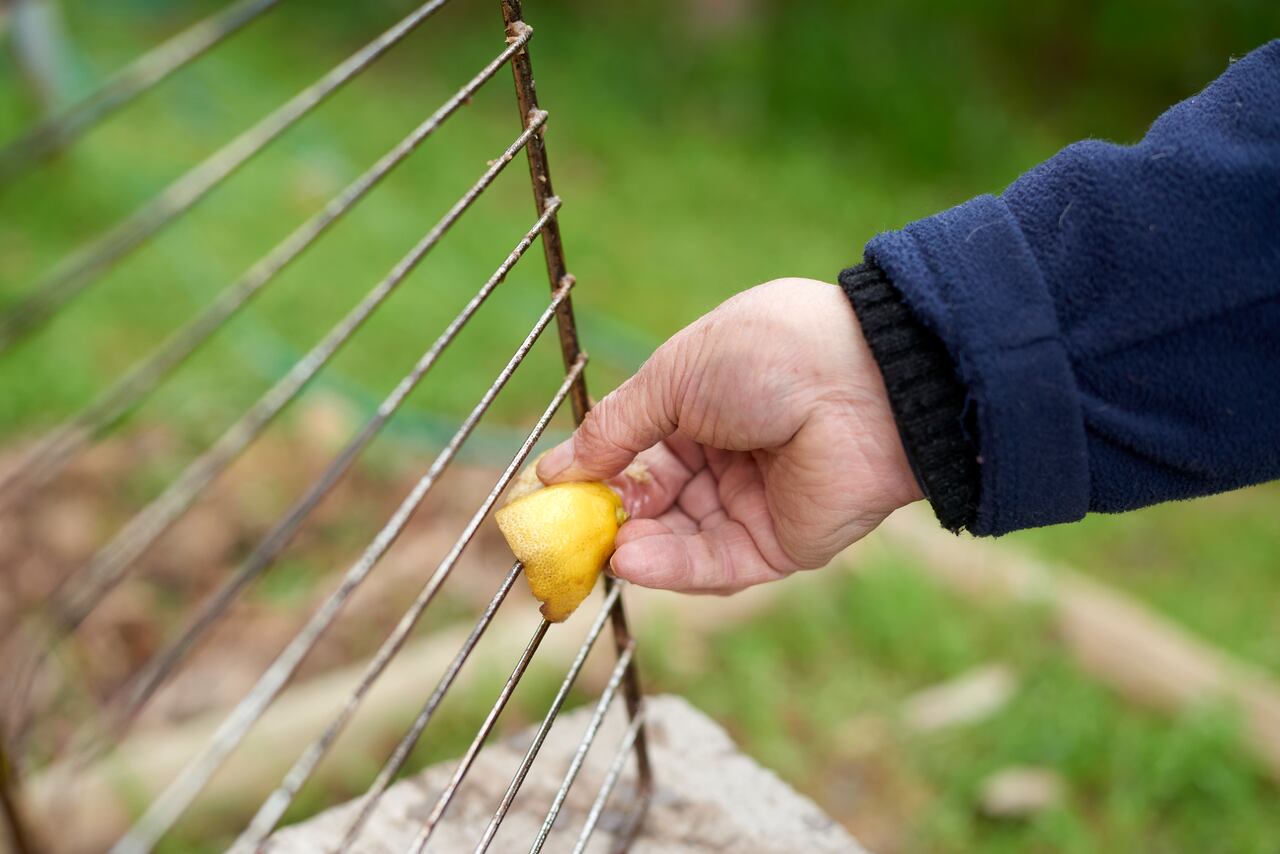 El limón es una opción muy buena para limpiar diferentes partes de la casa.