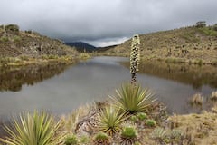 Protección de páramos en Bogotá y la región