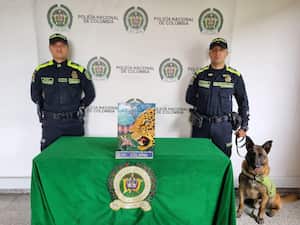 En un cuadro de arte fueron incautados más de cuatro kilos de cocaína en el aeropuerto El Dorado de Bogotá