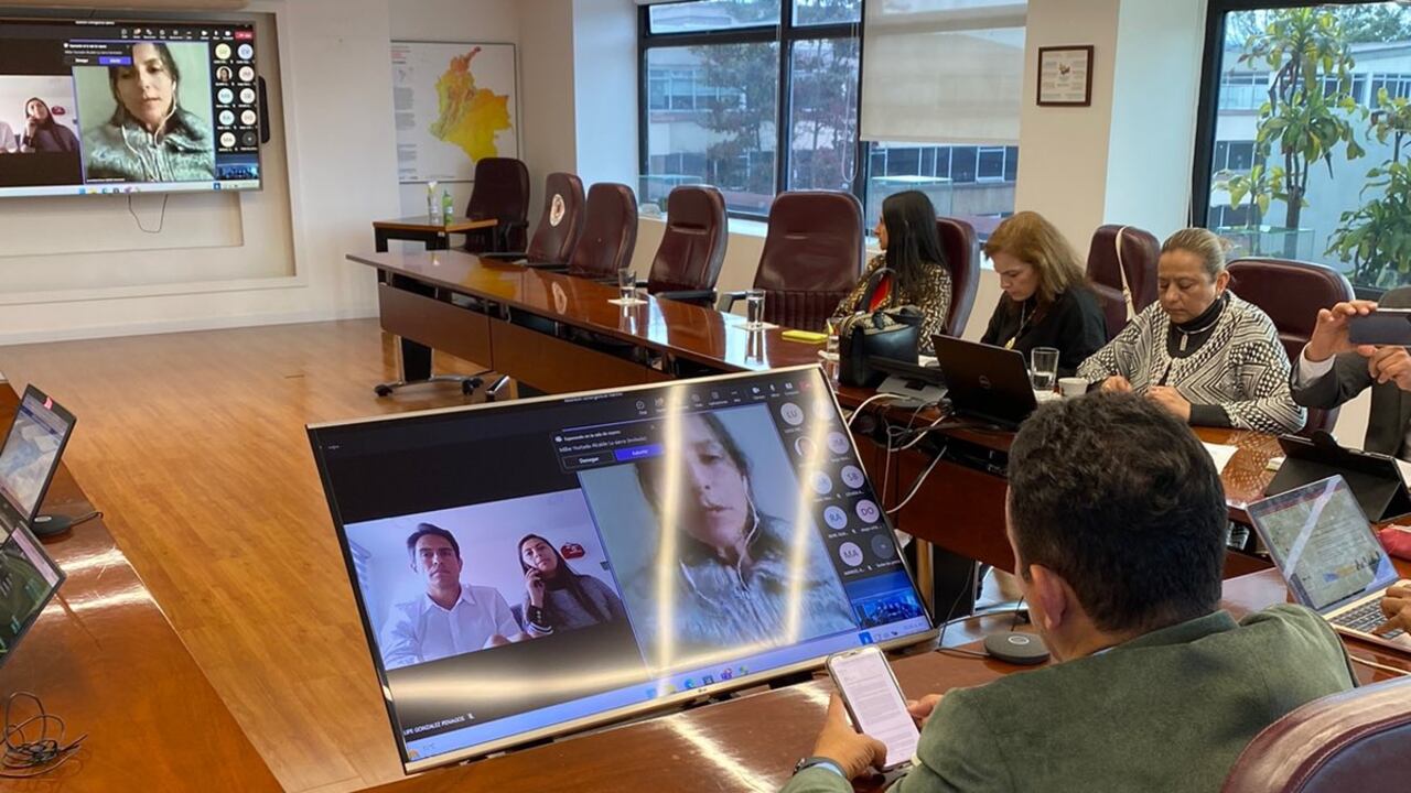 Reunión virtual de Ministra Irene Vélez, su equipo y mandatarios de Nariño y Cauca.