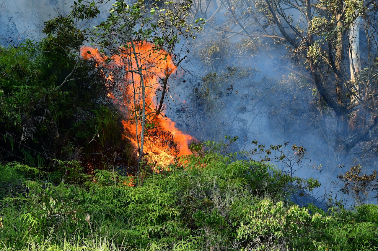 de 20Incendio forestal en la buitrera , Sep 21 23, en Cali Valle