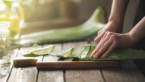 El aloe vera es una planta con muchas propiedades.