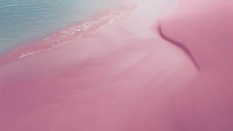 Las playas de arena rosada están ubicadas en diferentes partes del mundo.
