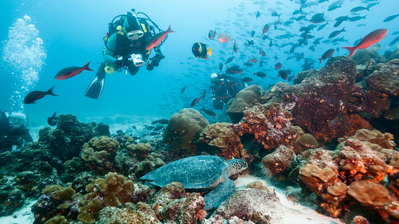 5 fascinantes destinos del Colombia para amantes del buceo