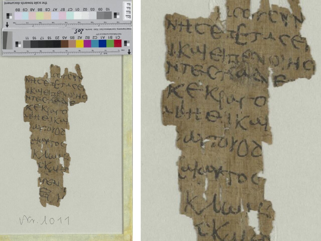 El manuscrito fue encontrado en una biblioteca y su procedencia era desconocida