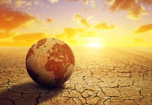 Según expertos, el cambio climático es el principal factor determinante del incremento de las sequías. Algunas iniciativas ambientales buscan incentivar un modo de vida ecoamigable.