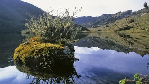 Chingaza: ¿cómo llegar desde Bogotá y qué hacer en este parque natural?