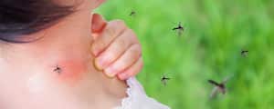 Las picaduras de mosquitos afectan más a unas personas que a otras.