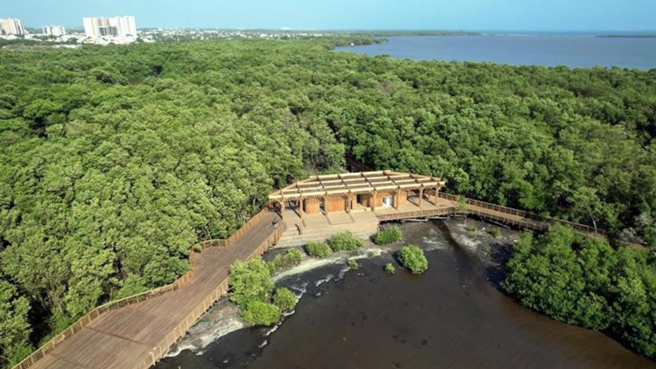 Con el ecoparque se busca revitalizar y recuperar los humedales de Barranquilla como la ciénaga de Mallorquín.