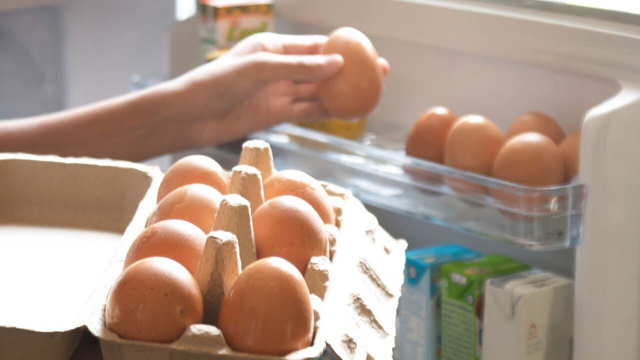 Cómo reconocer huevos frescos y qué tener en cuenta a la hora de  consumirlos – Nexofin